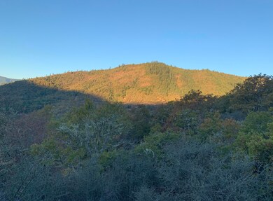 5C4323DE-ABB9-42C0-93DA-D27BFDC257AD_1_2