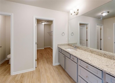 Bathroom with wood-type flooring, toilet, and vani