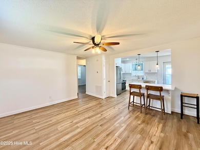 201 Hawthorne Rd, Edenton, NC 27932 - photo 3