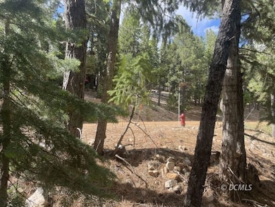 Fire hydrant at the street