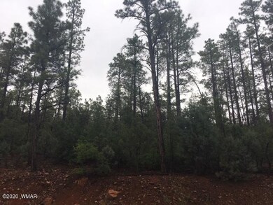 2321 S Bristlecone Dr, Show Low, AZ 85901 - photo 2