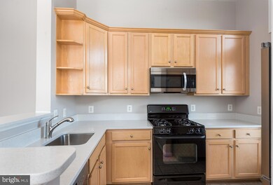 3830 Lightfoot St unit 429, Chantilly, VA 20151 - photo 7