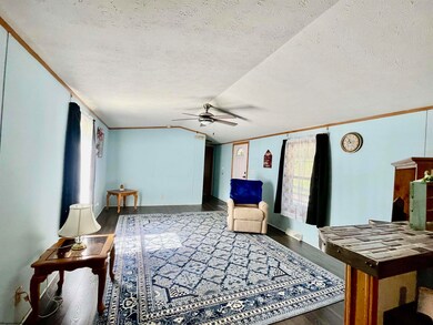 50 Boswell St, Tunnelton, WV 26444 - photo 5