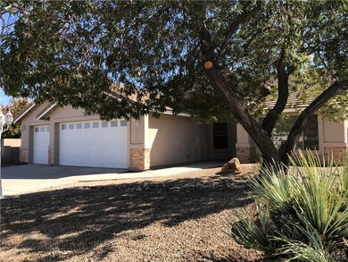 Mature Shade Tree in Front Yard