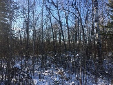 ON Phalzgraff Rd, Tomahawk, WI 54487 - photo 7