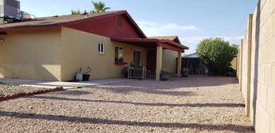 Huge Back Yard