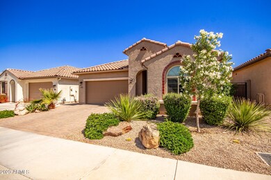 Easy maintenance landscape