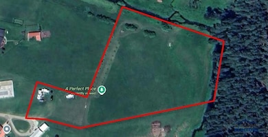 12726 Nemo Rd, Nemo, SD 57759 - photo 6