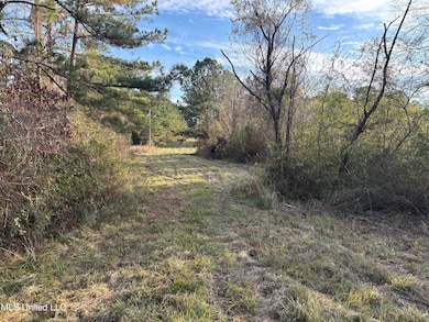 824 Ratliff Ferry Rd, Canton, MS 39046 - photo 7