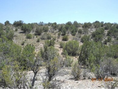 2 E Verde Highlands Trail, Paulden, AZ 86334 - photo 7