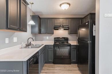 6631 Arbor Creek Dr, Louisville, KY 40228 - photo 4