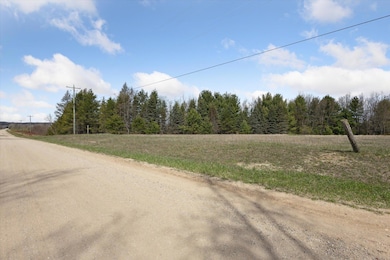 05-13386-Potter-Rd-Bear-Lake-MI-49614-Wi