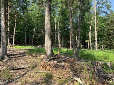 Lot 2 TBD Cherry Hill Rd, Stone Ridge, NY 12484 - photo 7