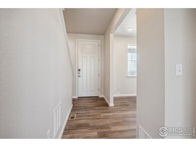 882 Mesic Ln, Windsor, CO 80550 - photo 3