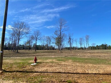 0 Sophie Ln unit Lot 52 CN164382, Dry Prong, LA 71423 - photo 5