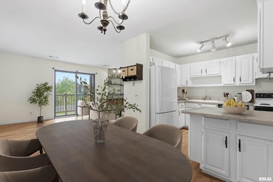 1249 48th Ave unit 18, East Moline, IL 61244 - photo 4