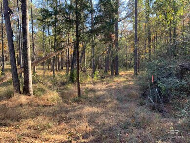 10 Drinkard Rd, Bay Minette, AL 36507 - photo 4