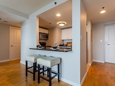 Regatta Riverview Residences unit 2325, Cambridge, MA 02141 - photo 6