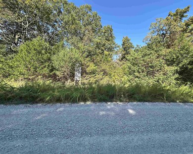 Lots 1 & 2 Round Mountain Dr, Flippin, AR 72634 - photo 7