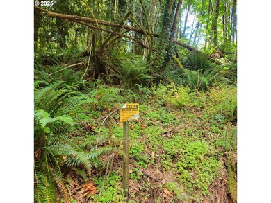 0 Coal Creek Rd, Scappoose, OR 97056 - photo 3