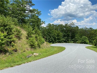 Lot 1320 Round Leaf Ln, Ferguson, NC 28624 - photo 3