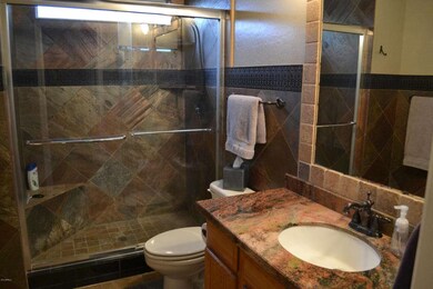 TILED SHOWER AND GRANITE COUNTER TOP