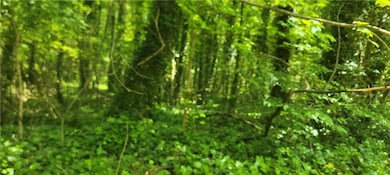 0 Lake Latimer Dr NE unit 7564947, Kennesaw, GA 30144 - photo 5