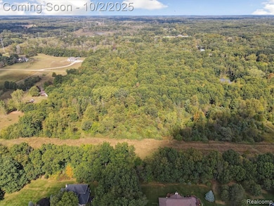 0 Hinchey Rd, Pinckney, MI 48169 - photo 7