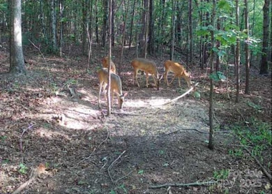 V/L Southern Way, Nebo, NC 28761 - photo 3