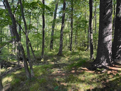 Lot 1 State Highway 13 34, Rudolph, WI 54475 - photo 5