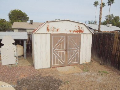 Back Yard Storage Shed