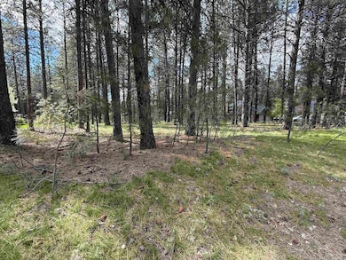 177XX N Saddle Hill Rd, Colbert, WA 99005 - photo 7