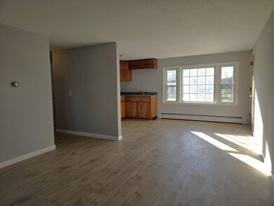 19 Chapman Ave unit 12, West Brookfield, MA 01585 - photo 3