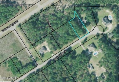 0 Oak Ridge Dr, Butler, GA 31006 - photo 3