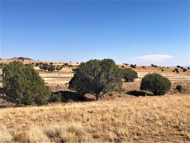 77 Off of Rawhide Ranch, Ash Fork, AZ 86320 - photo 4