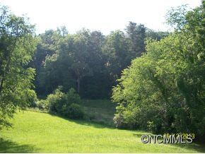 27 Old Chapman Place, Leicester, NC 28748 - photo 2