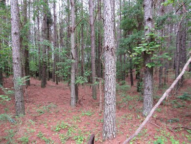 00 Butler Branch Rd, Arley, AL 35541 - photo 5