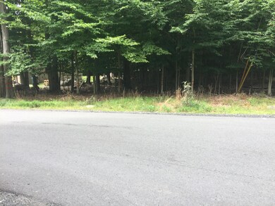 0 Marvin Gardens, Tobyhanna, PA 18466 - photo 3