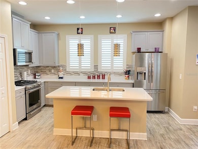 5807 Circa Fishhawk Blvd, Lithia, FL 33547 - photo 5