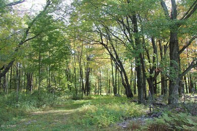 690 Church St, Moscow, PA 18444 - photo 3