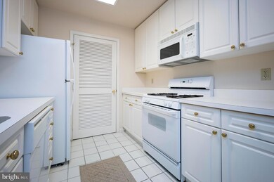 Savoy Park unit 310, Falls Church, VA 22041 - photo 6