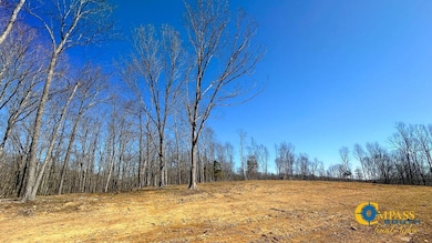 0 Highway 438 unit 25510456, Centerville, TN 37033 - photo 6