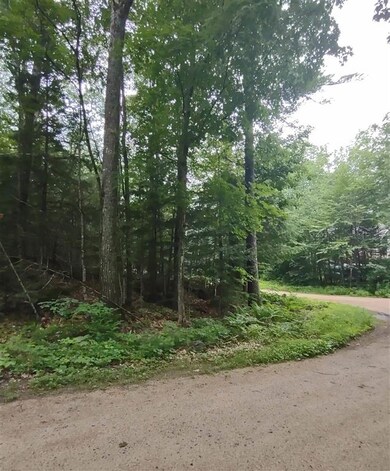 0 Albert St unit 12 4870525, Moultonborough, NH 03254 - photo 5