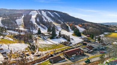 2127 Darius Dr, Cortland, NY 13045 - photo 6