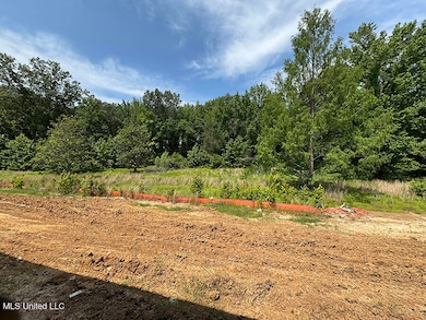 4229 Olivia Cir W, Olive Branch, MS 38654 - photo 3