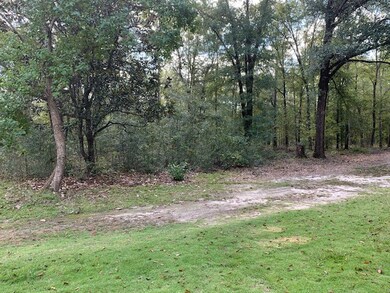 11581 Chattsworth Rd, Midland, GA 31820 - photo 5