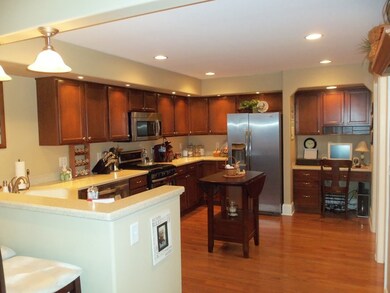 1303 Michael Dr unit 1303, Morris, IL 60450 - photo 6