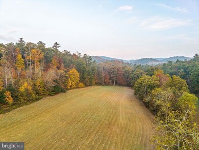 0 Big Draft Rd unit WVGB2000166, White Sulphur Springs, WV 24986 - photo 5