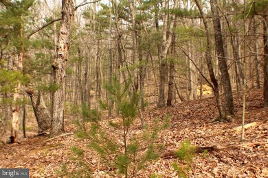 Lot 14 Leisure Acres Rd, Wardensville, WV 26851 - photo 5
