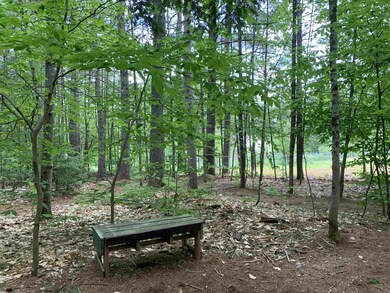 201 Dorrs Corner Rd, Center Ossipee, NH 03814 - photo 2